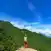 gon