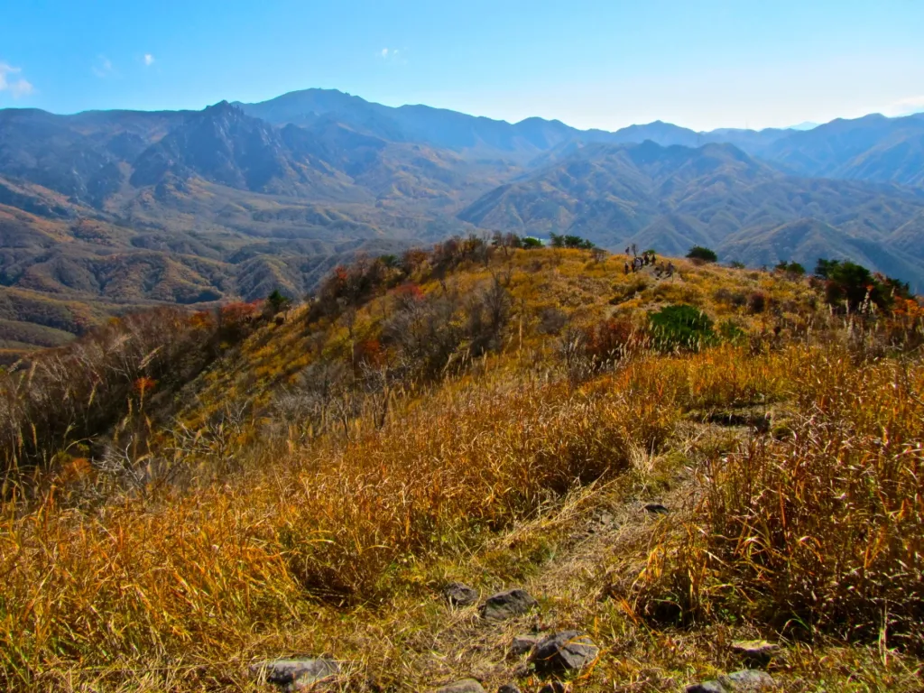 【天空の草原からの絶景】初心者にもおすすめ！横尾山の難易度別登山コース紹介