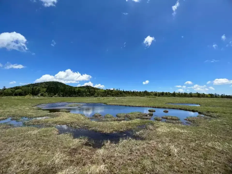 【鬼怒沼山登山】天空湿原と関東最後の秘湯奥鬼怒四湯へようこそ｜鬼怒沼山の難易度別登山ルートとおすすめスポットをご紹介