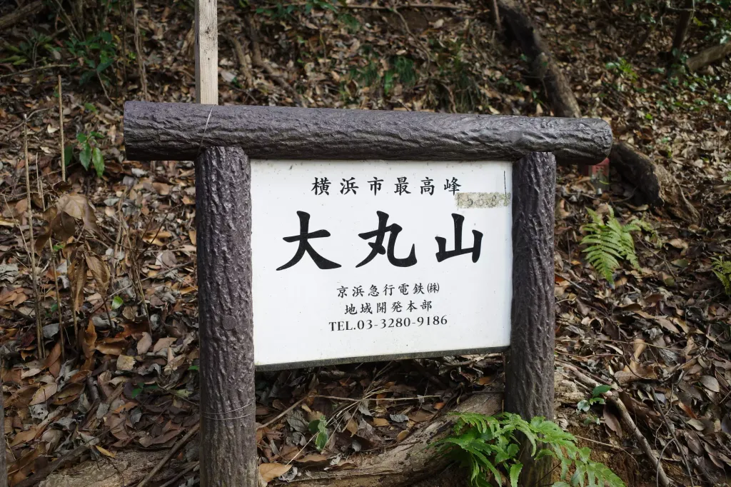 【初心者におすすめ】横浜市でいちばん高い山！大丸山を含む手頃な日帰りハイキングコースの難易度別ルート紹介