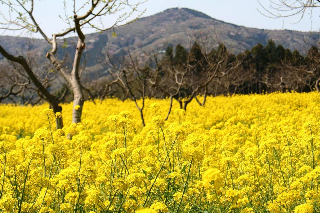 【茨城県】おすすめの低山12選！初心者に最適な日帰りできる山をご紹介