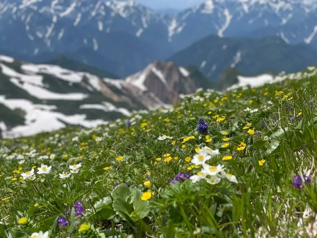 【登山初心者必見】登山の魅力・楽しみ方-目的をもって楽しむ