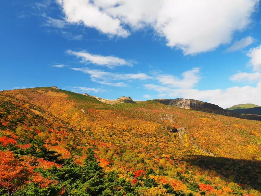 初心者が満喫できるおすすめ紅葉登山22選！【秋だけの絶景を拝みに行こう】
