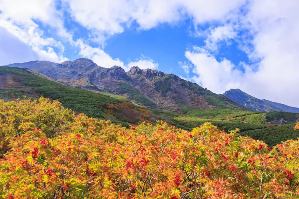 10月におすすめの紅葉登山20選！絶景登山ルート解説【錦秋の装いを見に行こう】