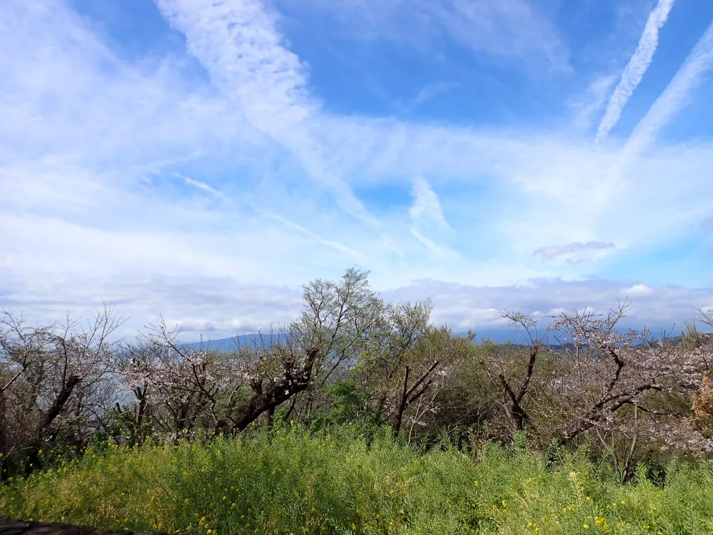 登山シーズン到来！4月の春山を楽しめる各地の山をご紹介