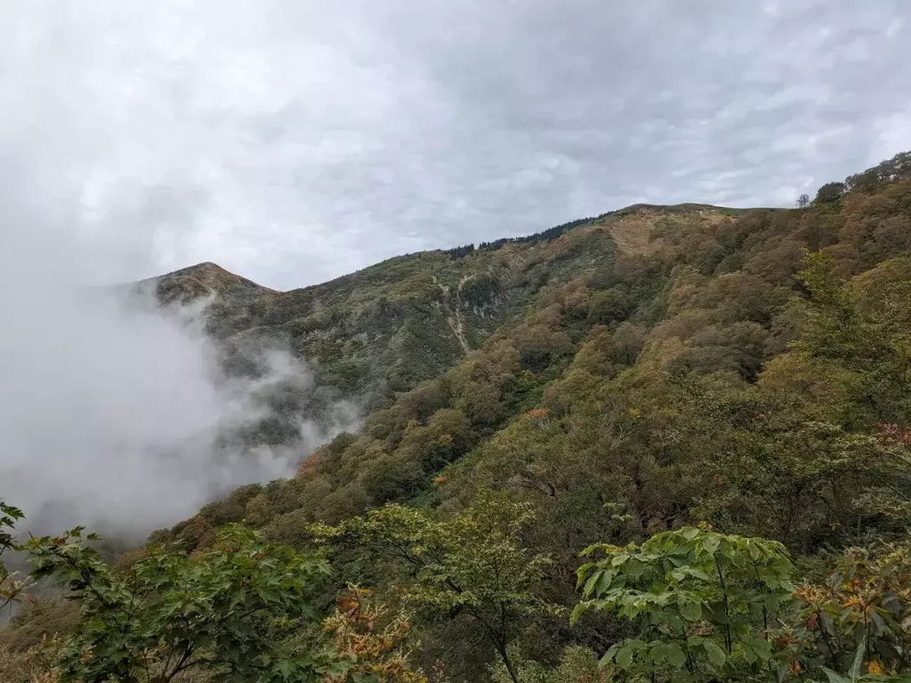 絶景を極める巻機山！日帰りで挑む難易度別登山ルート3選