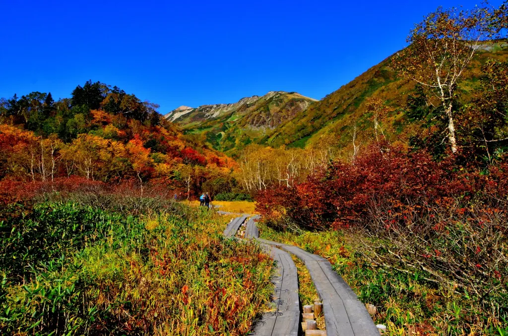 東海・北陸エリアのおすすめ紅葉登山12選！絶景紅葉スポットと登山コースを徹底解説