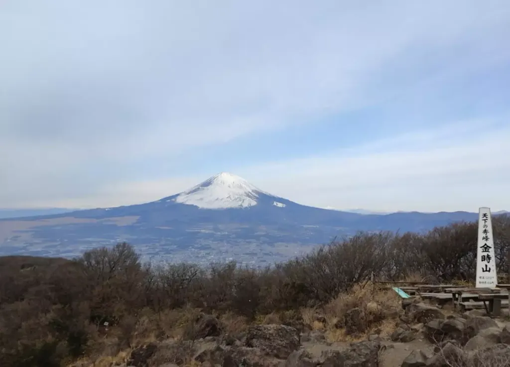 【初心者におすすめ】金時山登山・難易度-通行止め情報と最短ルート
