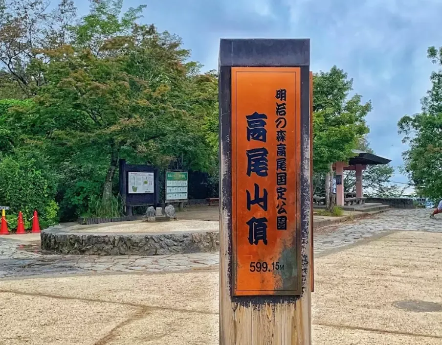 【日帰り登山】高尾山登山-初心者から楽しめる難易度別ルート紹介