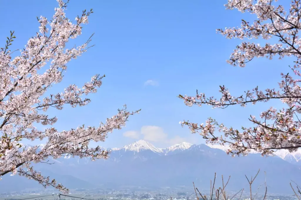 【日帰り登山】桜×北アルプスの絶景！初心者におすすめ「光城山」の難易度別ルート紹介