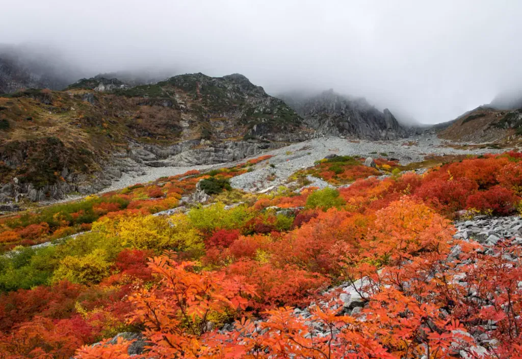 日本全国おすすめ紅葉登山29選！【紅葉時期・登山コース徹底解説】