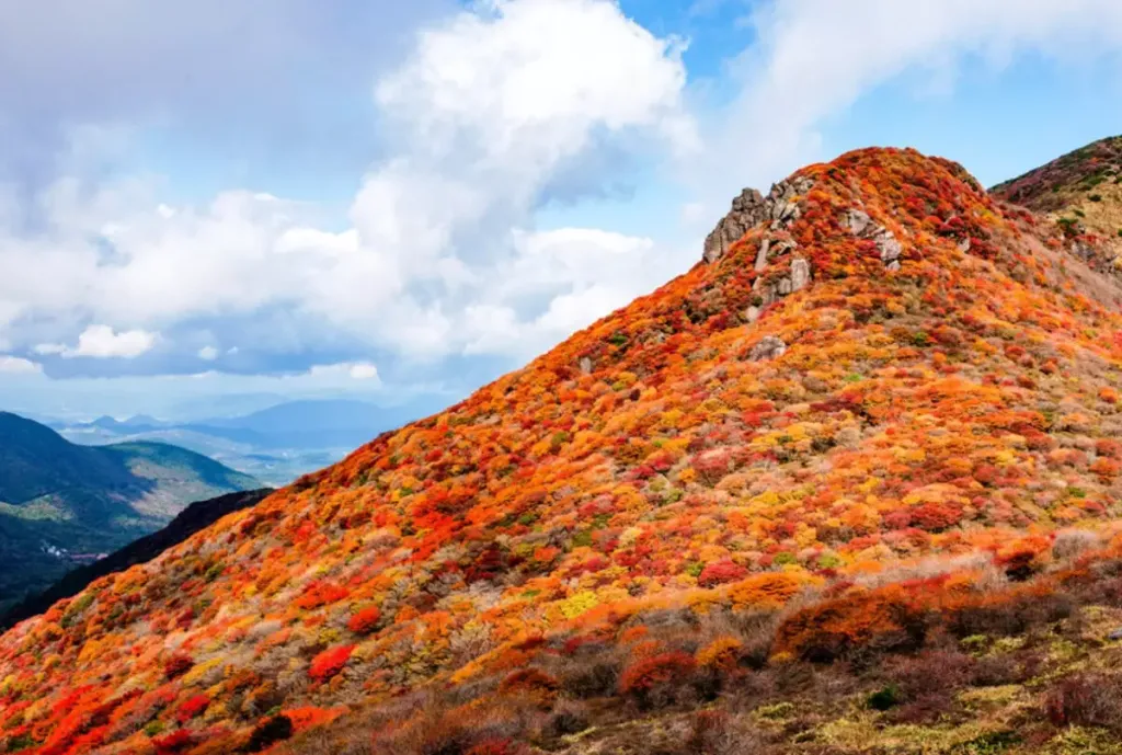 中国・四国・九州エリアのおすすめ紅葉登山11選！絶景登山コースと紅葉時期を徹底解説