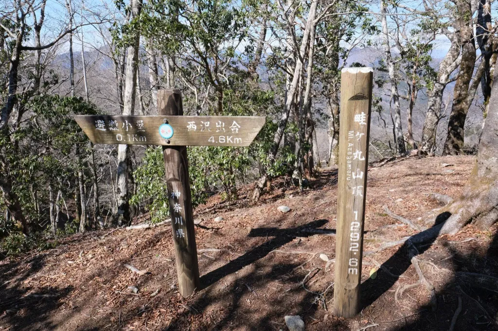 【日帰り登山】畦ヶ丸登山−初心者から楽しめるルート紹介