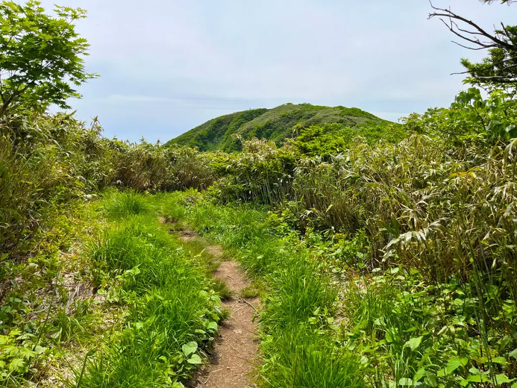 能郷白山｜初心者も楽しめる360度パノラマ展望！難易度別登山コース紹介