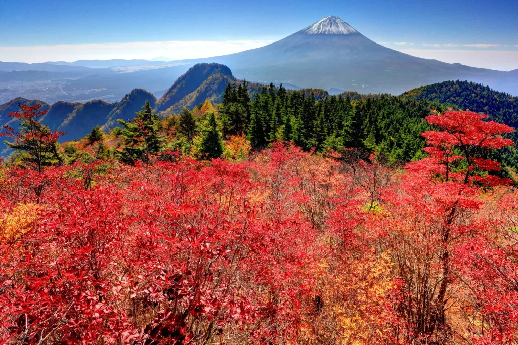 【日帰り登山】節刀ヶ岳ー初心者から楽しめるルートも！難易度別ルート紹介