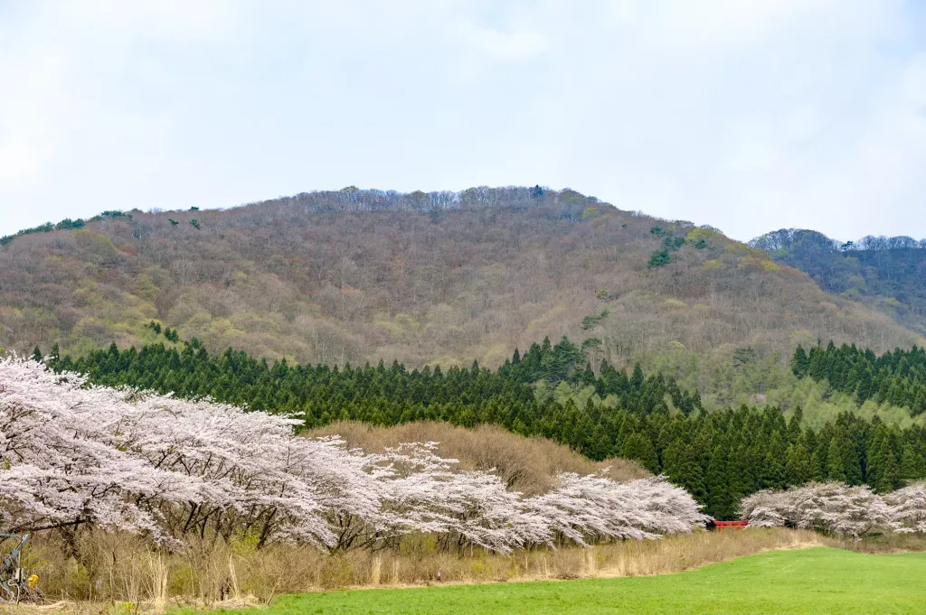 【薬莱山（やくらいさん）】登山初心者や親子登山におすすめの山！大崎平野を一望する絶景