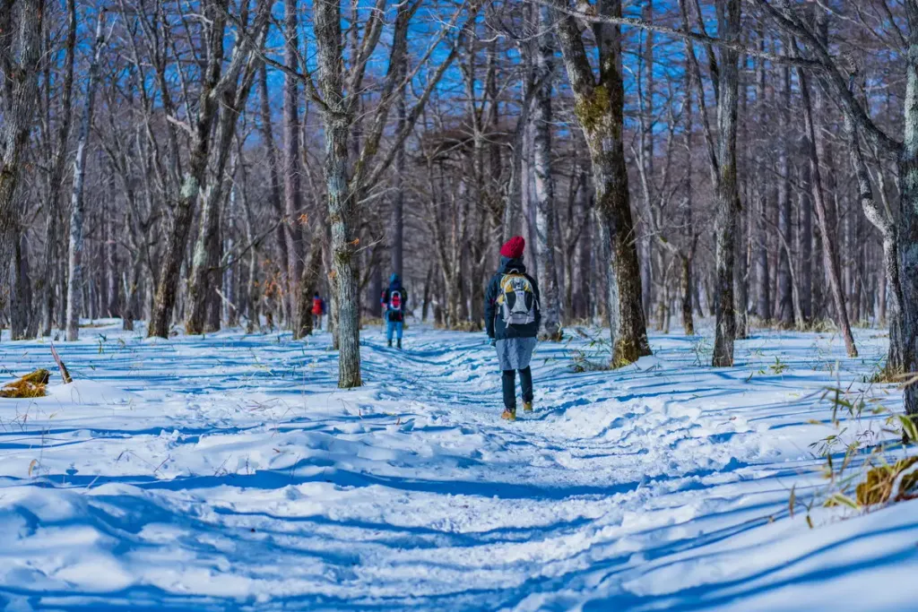 冬の登山用ベースレイヤー-選び方とメーカー別おすすめモデル