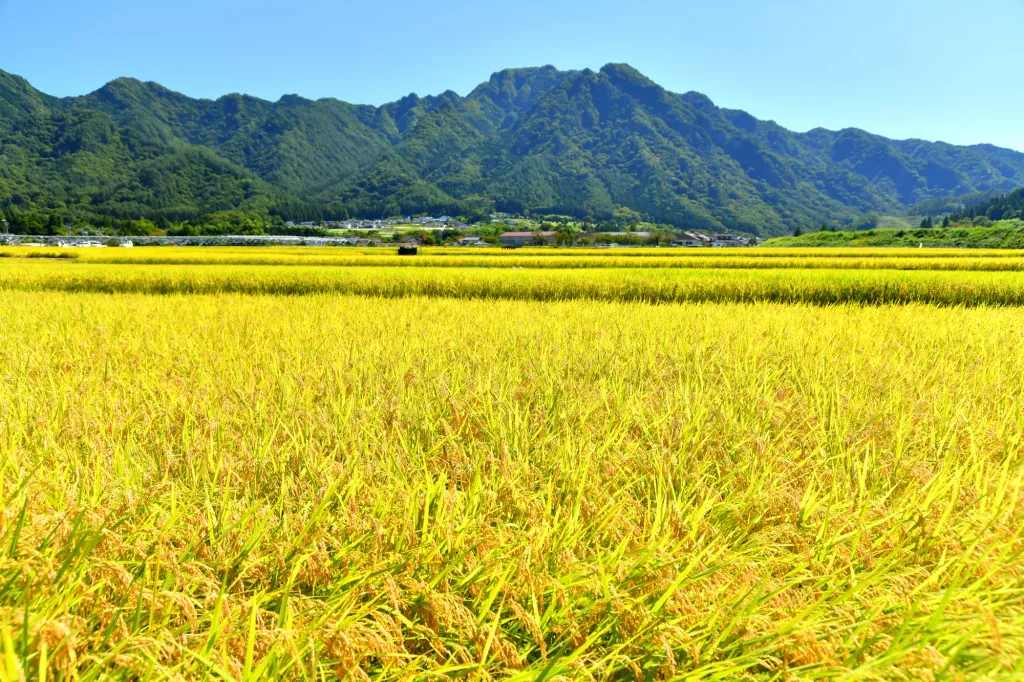 【日帰り登山】信州の鎌倉で歴史を感じる独鈷山！初心者におすすめの難易度別ルート紹介