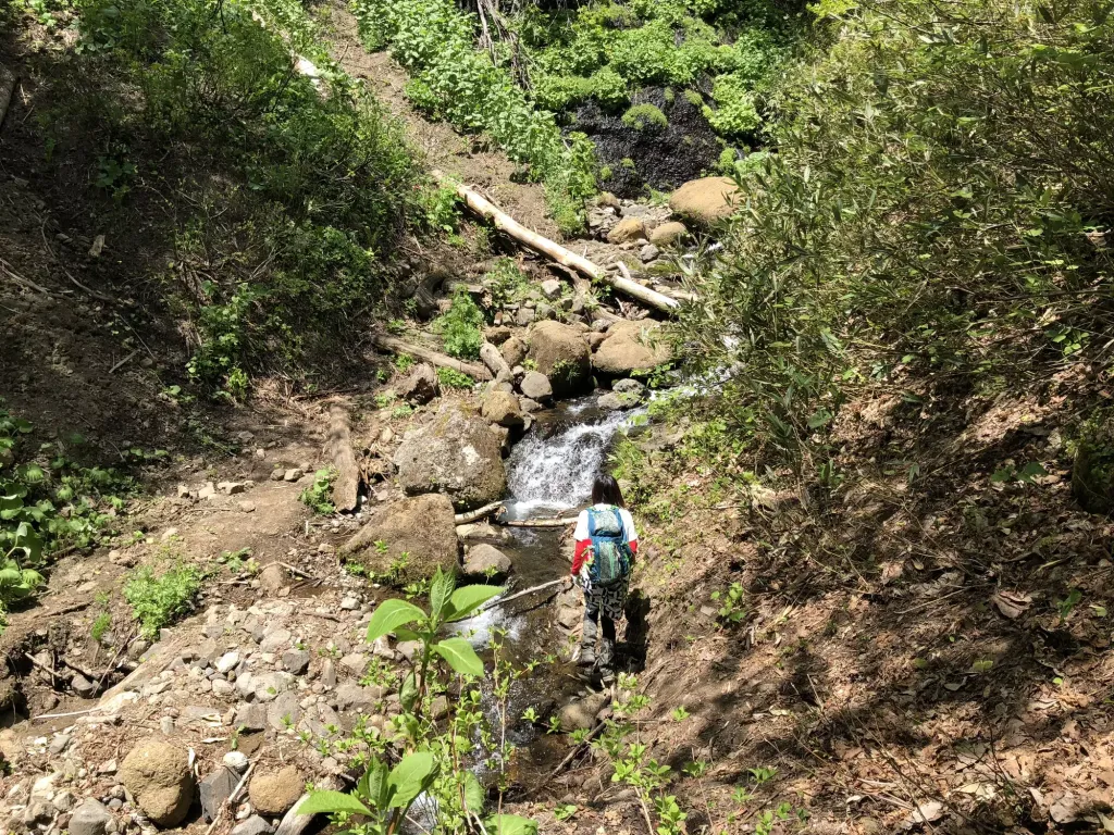 山で遭難したら登れ！理由とあわせて道迷い時の対処法をご紹介