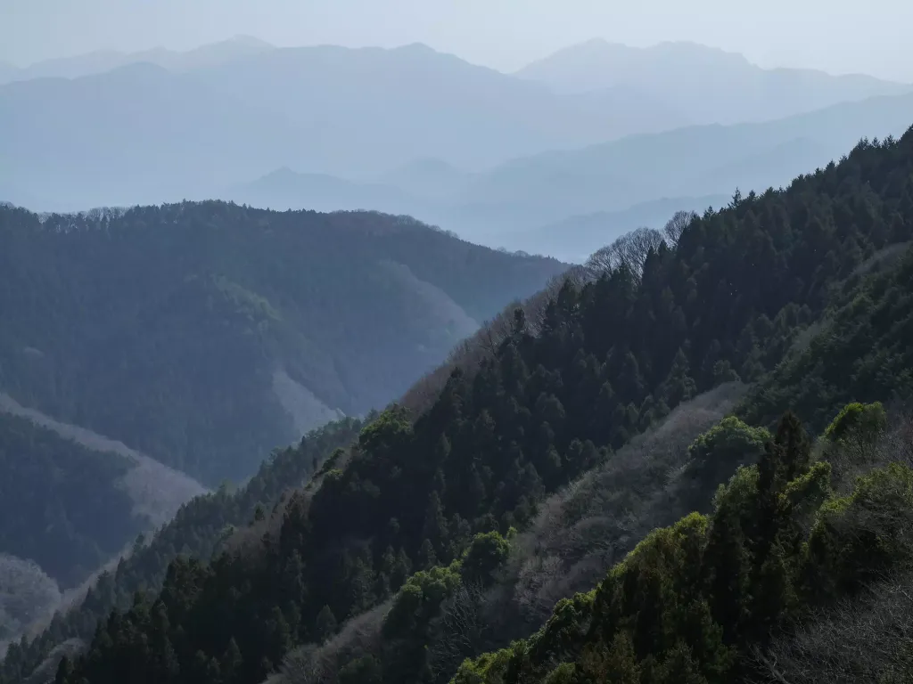 【日帰り登山】 奥多摩山域にある花の百名山！生藤山の難易度別ルート紹介