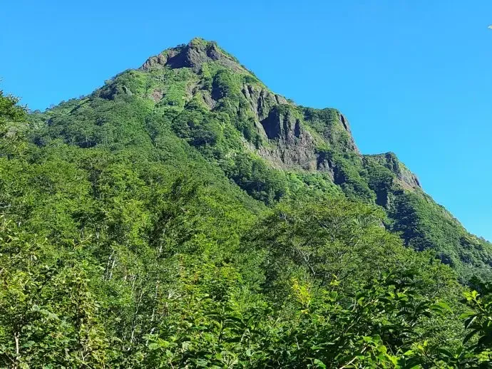 鋸岳
