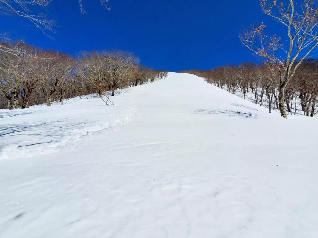 後白髪山