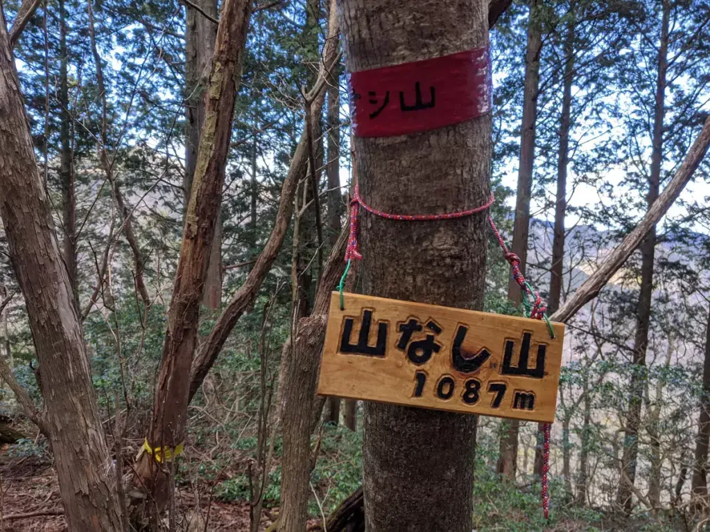 山なし山