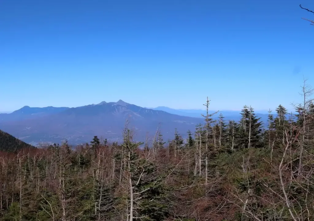 辻山