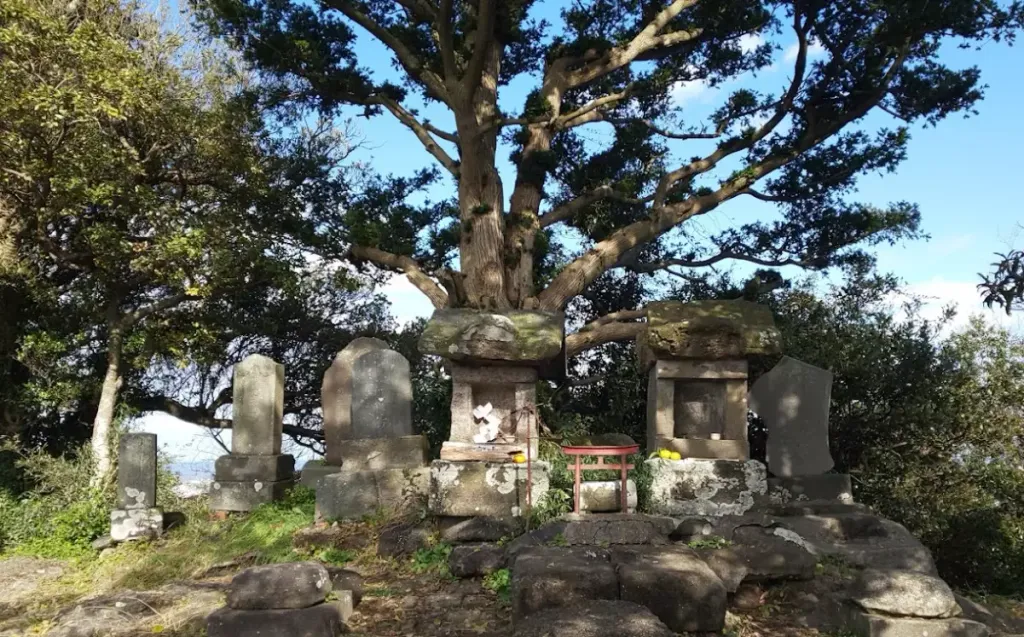 三浦富士
