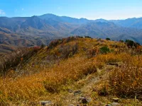 【天空の草原からの絶景】初心者にもおすすめ！横尾山の難易度別登山コース紹介