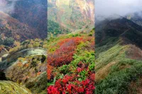 知る人ぞ知る秋の秘境：紅葉に染まる白砂山、野反湖からの絶景トレイル