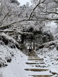 冬の登山で注意したいポイント‐12月の大山登山で実際に体験した予想外の出来事