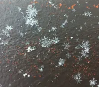 大雪山旭岳ロープウェイからの山便り 16年1月17日