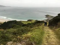 ニュージーランド・ローカル旅　～マタカナおすすめスポット～