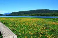 【日帰り登山】しあわせの黄色い絨毯　雄国山・雄国沼湿原｜難易度別ルートと登山口アクセス各種情報