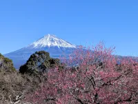 【2025年】春登山にちょうどいい！ウインドブレーカーの選び方と厳選モデル8選！