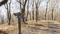 【日帰り登山】初心者にもおすすめ！神奈川・静岡・山梨の3県にまたがる三国山の難易度別ルート紹介
