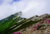 山小屋から7/16の山の情報集めました