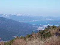 花いっぱい！早春の杉山を歩こう 4 月6日開催 花の百名山 大江山を歩く