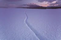 試練から立ち上がる力を与えてくれた大自然 蒲澤利行写真展「イーハトーブの旅」
