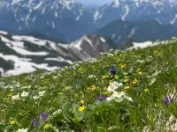 【登山初心者必見】登山の魅力・楽しみ方-目的をもって楽しむ
