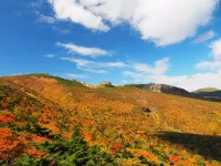 初心者が満喫できるおすすめ紅葉登山22選！【秋だけの絶景を拝みに行こう】