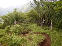 【日帰り登山】西丹沢の静寂を歩く加入道山の難易度別ルート紹介