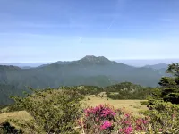 【日帰り登山】親子登山デビューにぴったり！瓶ヶ森登山-難易度別ルート紹介