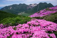 九州で一番人気の九重山！登山初心者も楽しめる難易度別ルート＆魅力紹介