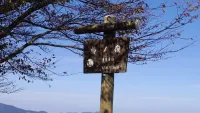 【日帰り登山】棒ノ折山登山−初心者から楽しめるルート紹介