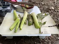 山ごはんにおすすめの経木の使い方-信州経木Shiki