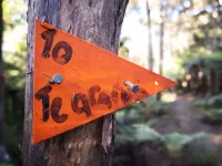 ニュージーランドを1000％楽しむ！ロングトレイル、テアラロアを解剖！