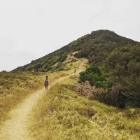 ニュージーランド・ローカル旅　～南太平洋を一望するローカル登山～