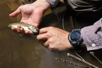 CASIO PRO TREK WSD-F20　テンカラ・フライフィッシングにスマートウォッチ